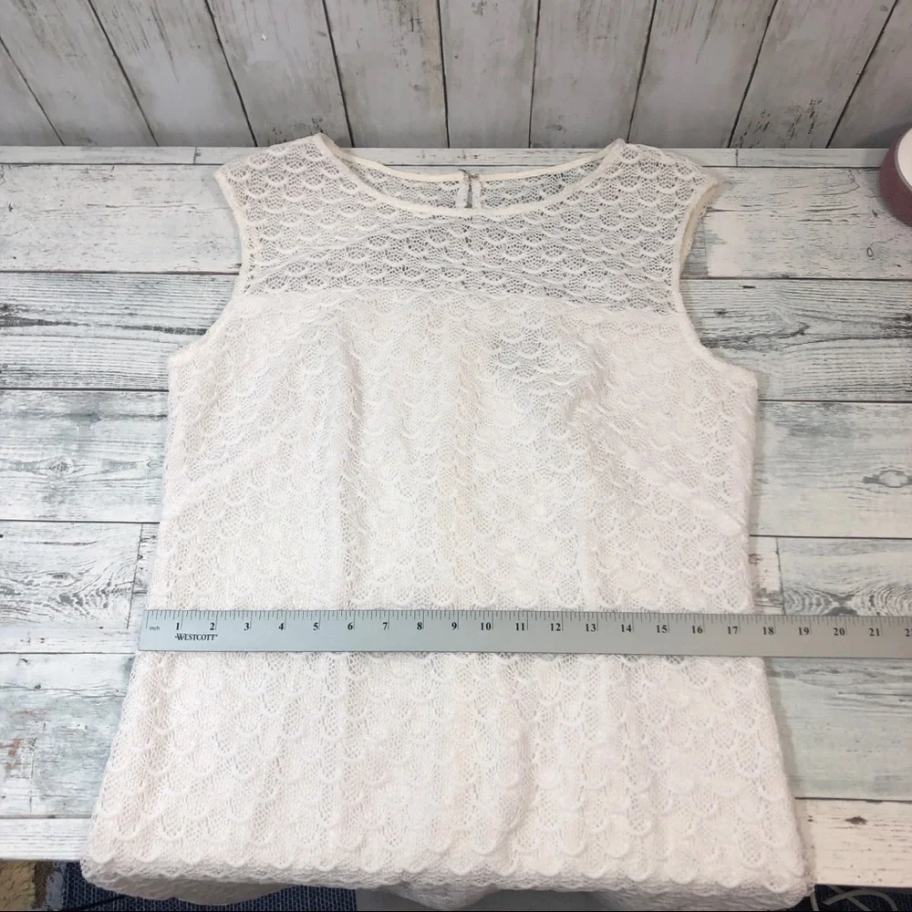 Adrianna Papell Crocheted Lace White Sleeveless Sheath Dress - Picture 9 of 12
